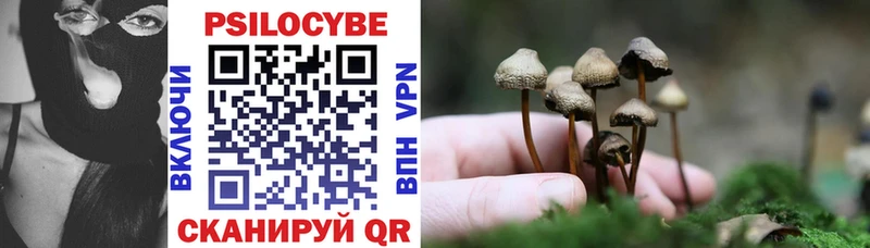 Псилоцибиновые грибы Psilocybe  Шиханы 