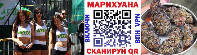 цены наркотик  Шиханы  Конопля сатива 